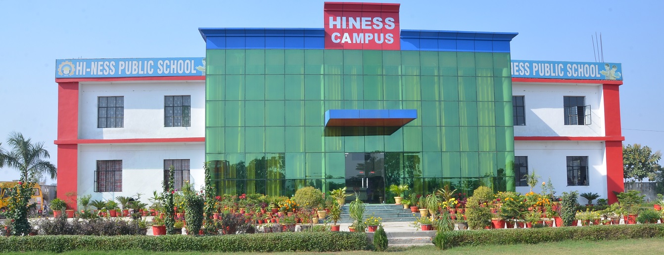 Hi Ness Public School Meerut